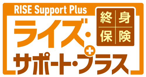 ライズサポートプラス